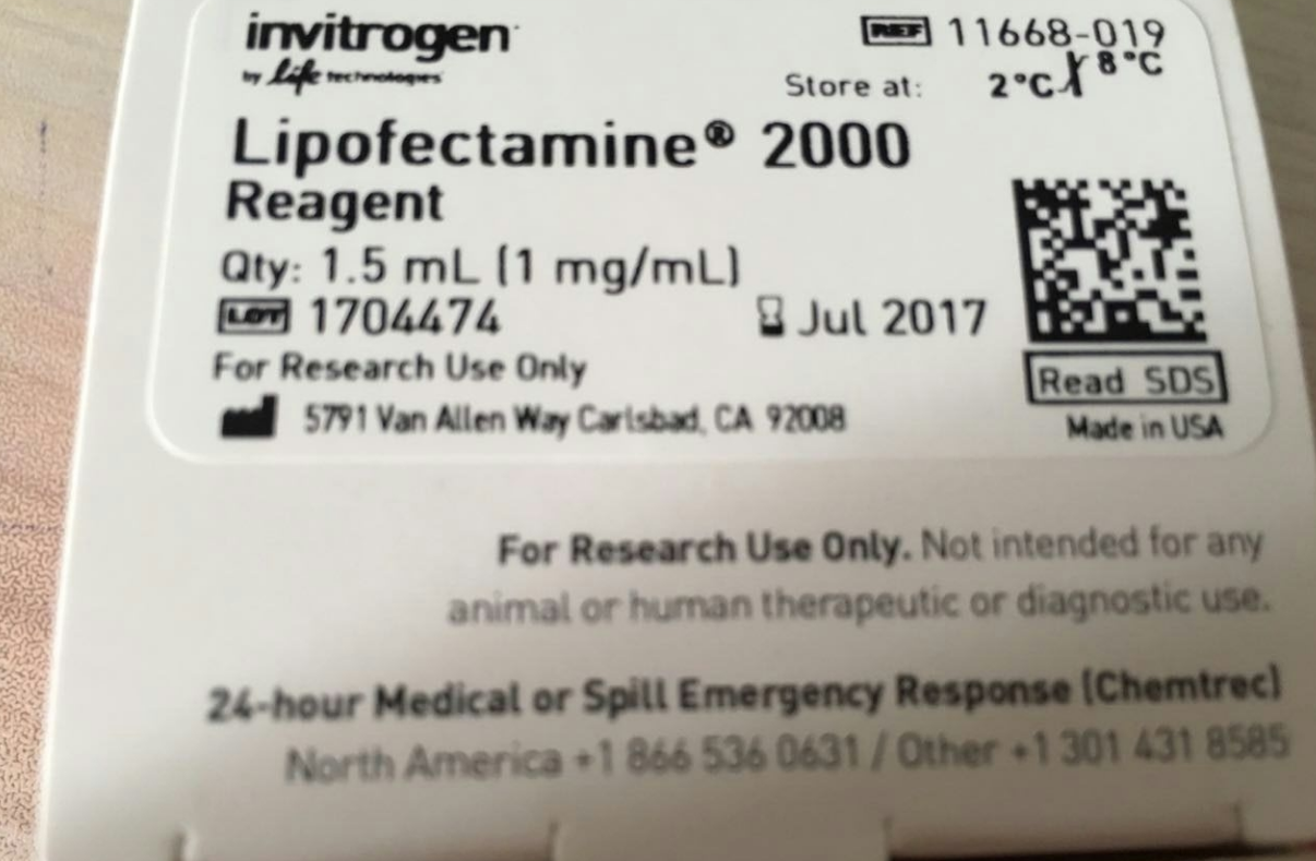 11668-019脂质体2000 1.5ml Invitrogen